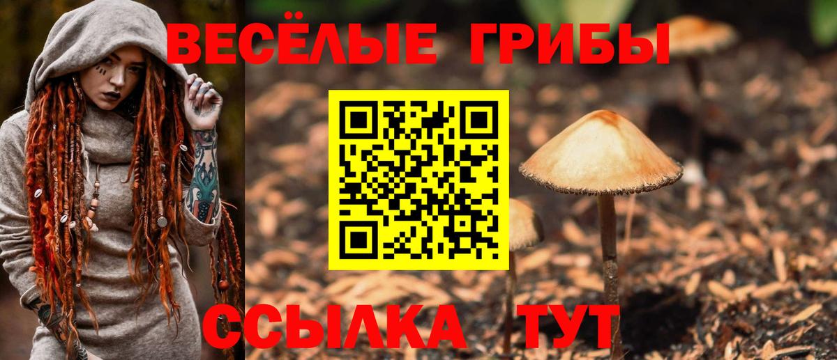 Псилоцибиновые грибы ЛСД  Вход с VPN  Азов 